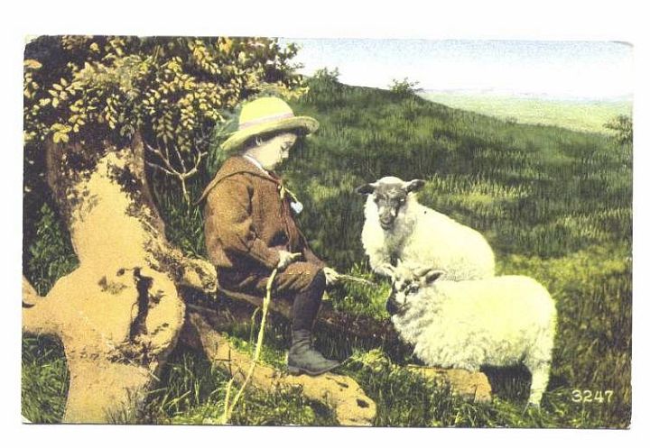 Little Shepherd with 2 Sheep