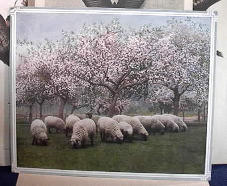 Sheep in a Cherry Orchard