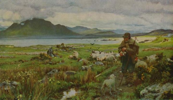 Waterlow Shepherd Sheep Ireland